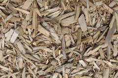 biomass boilers Trevescan
