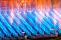 Trevescan gas fired boilers