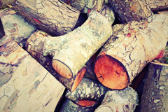 Trevescan wood burning boiler costs